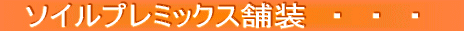 �\�C���v���~�b�N�X�ܑ� 